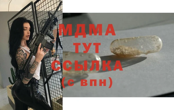 индика Абаза